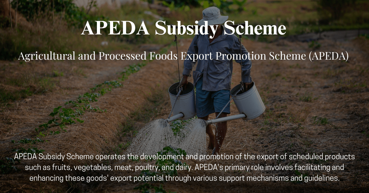 APEDA Subsidy Scheme (Rapid Consulting)