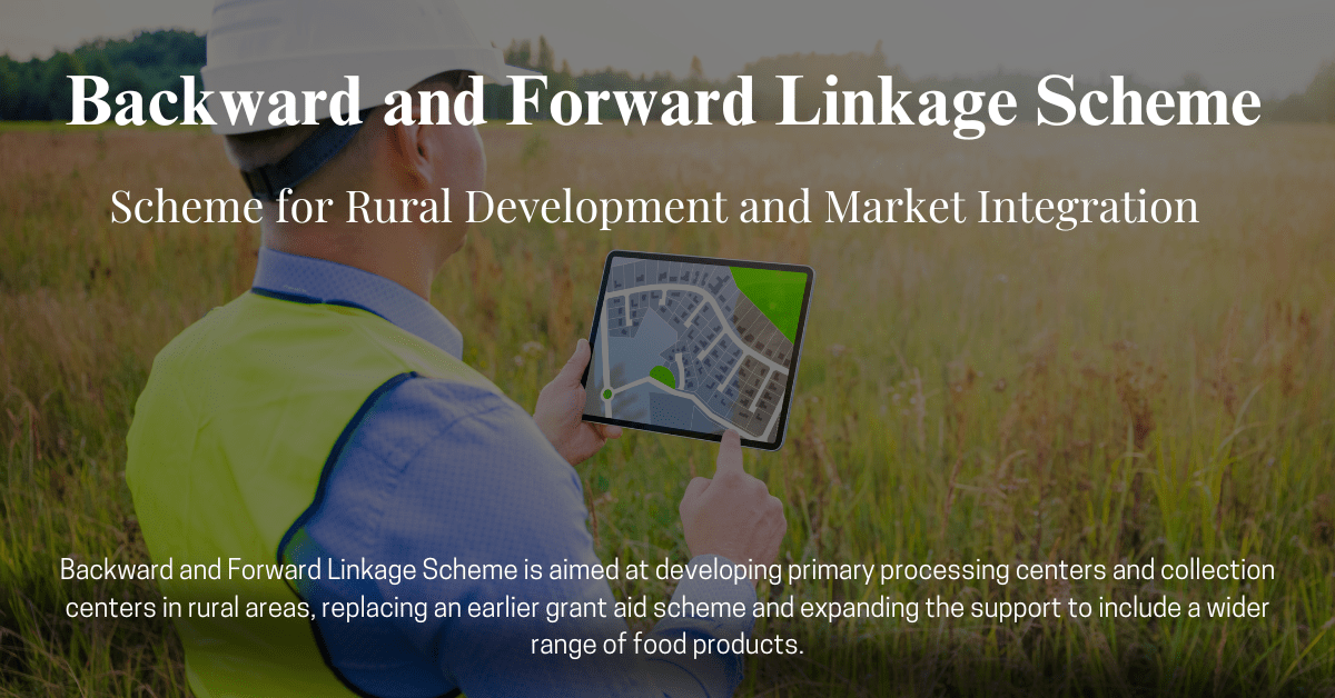 Backward and Forward Linkage Scheme (Rapid Consulting)