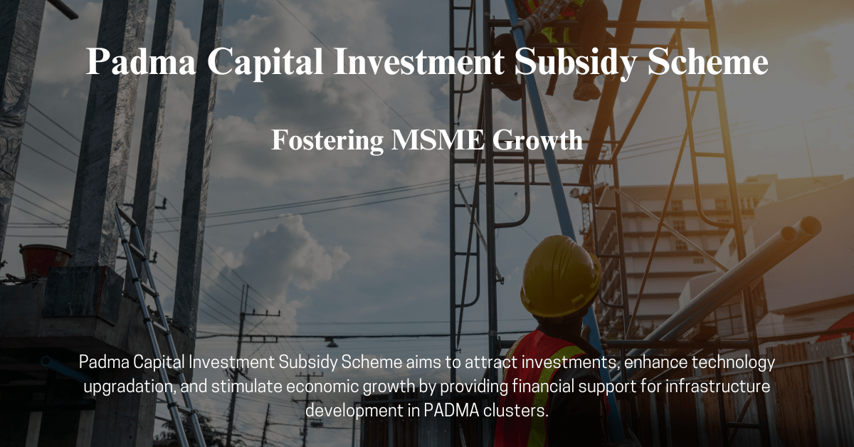 Padma Capital Investment Subsidy Scheme (Rapid Consulting)