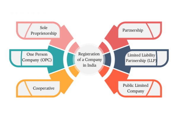 business structure in india