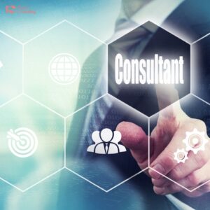 Subsidy Consultant Benefits