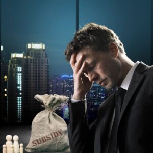 Businesses Faces Problem in getting Government Subsidies