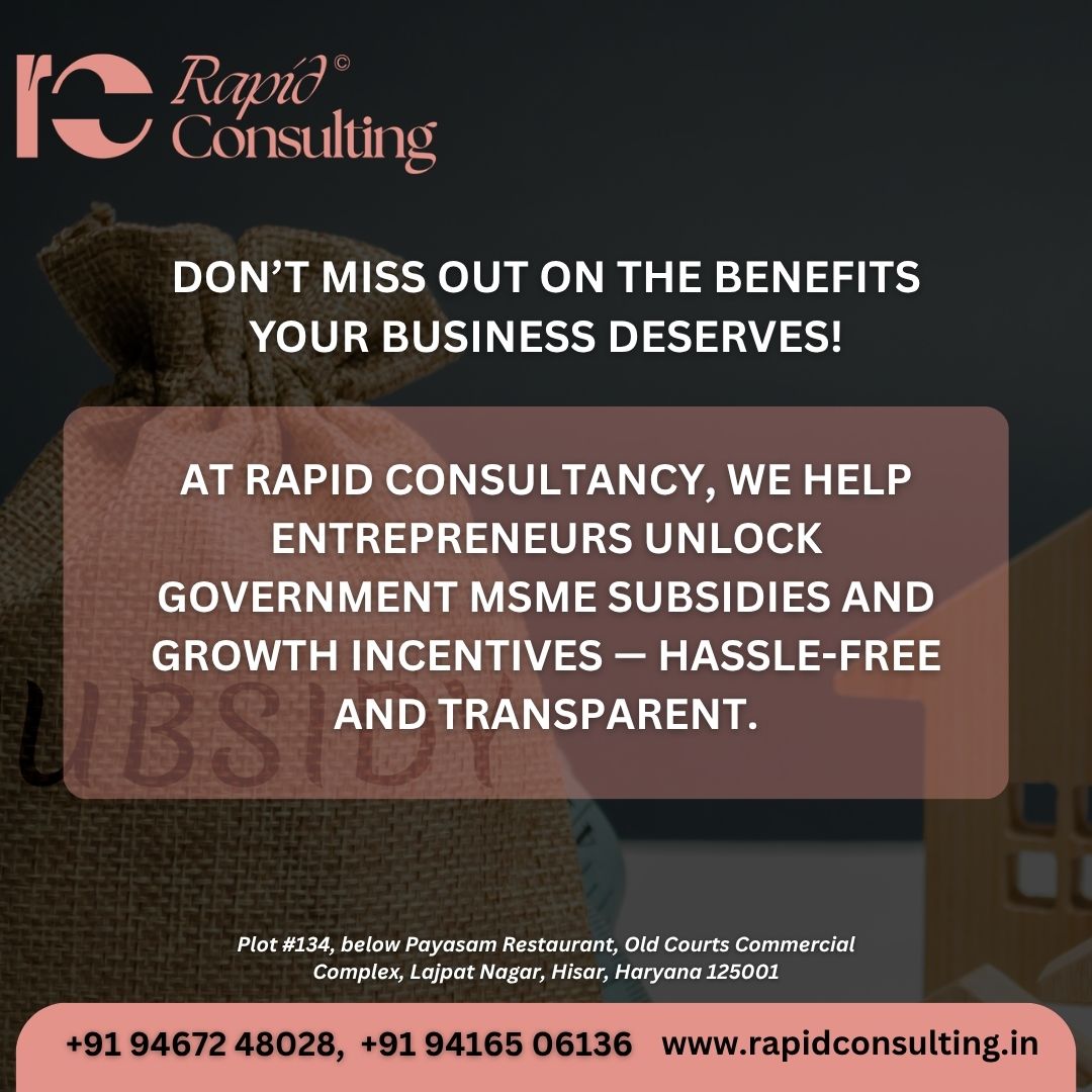 Business Subsidy Consultant