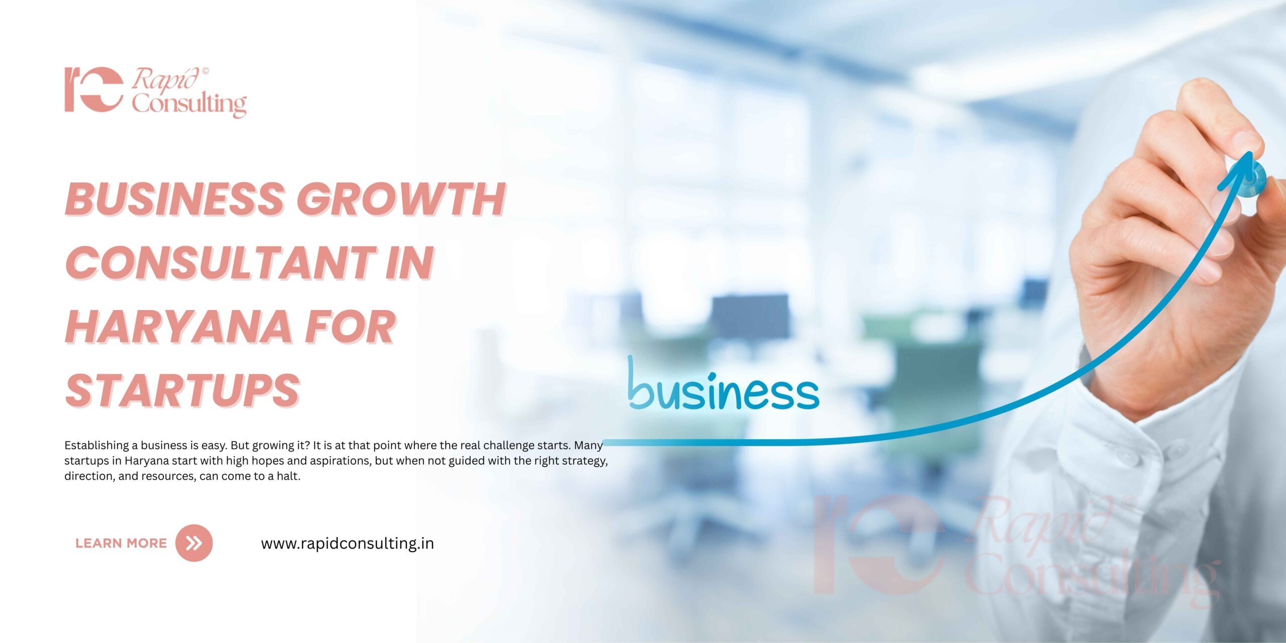 business growth consultant in Haryana for startups
